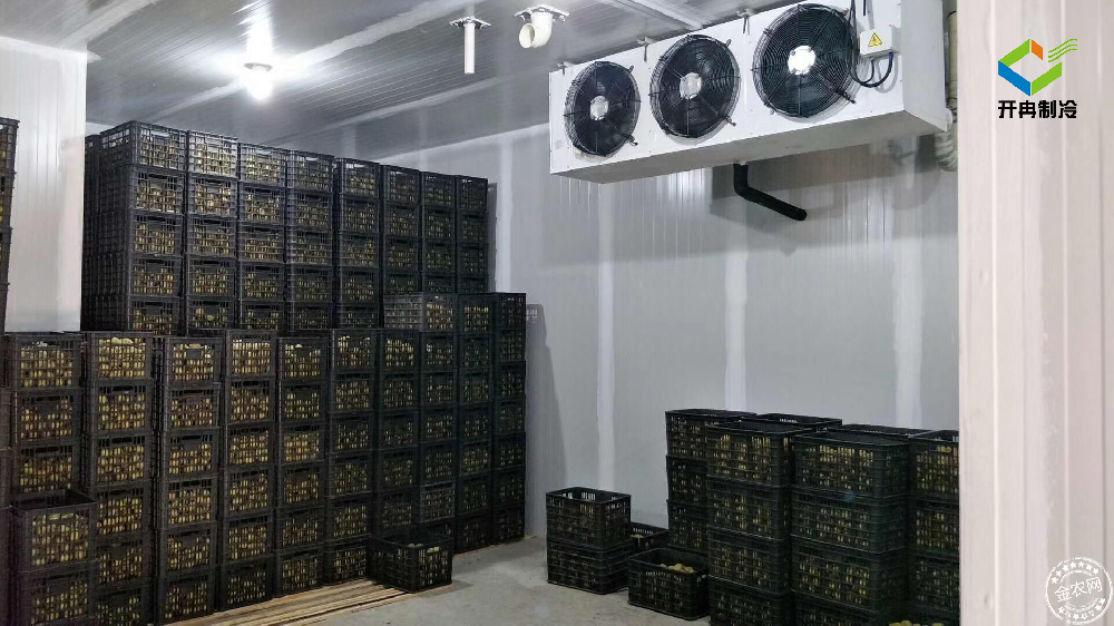 建造一個(gè)100噸的水果保鮮冷庫多少錢？