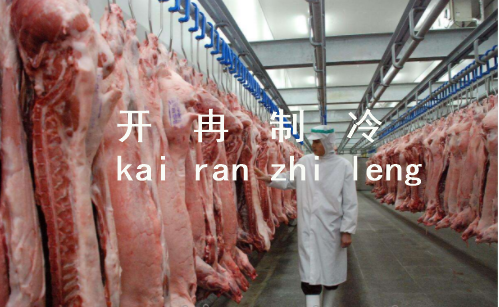 上海1000噸肉類(lèi)冷庫(kù)