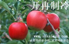 水果冷庫(kù)報(bào)價(jià)、一個(gè)水果冷庫(kù)多少錢(qián)