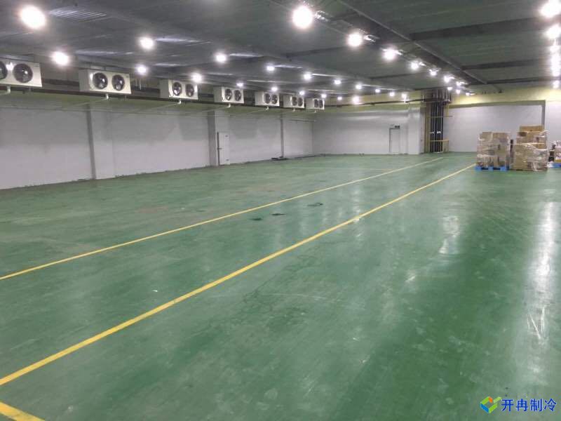 上海松江香車(chē)路299號(hào)瓜果保鮮庫(kù)建設(shè)案例