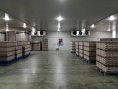 存儲食品冷藏庫設計建造多少錢一平米？保鮮冷藏庫設計