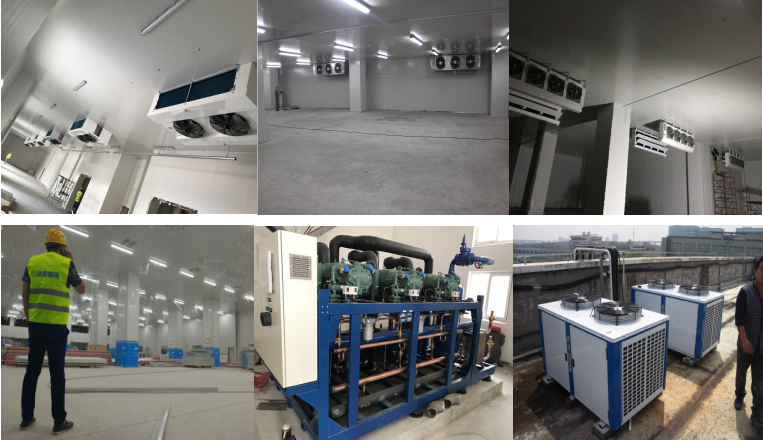 http://m.zhrec.cn/gongchenganli/shipin/1230.html