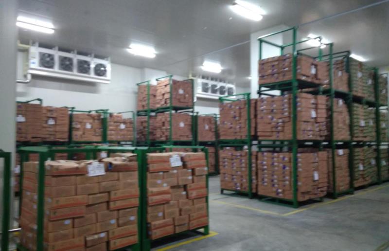 1000噸食品冰庫(kù)的安裝設(shè)計(jì)制冷設(shè)備,需要多少錢