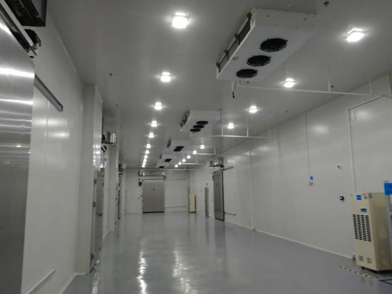 屠宰廠冷庫(kù)制作建造,排酸冷庫(kù)的建造有哪些要求?